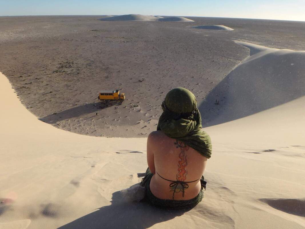 Western Sahara dune; photo by Tariq Zaidi