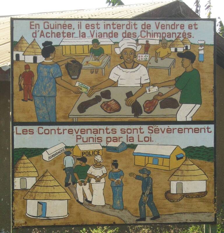 Sign warning against selling or buying chimpanzee meat in Bossou, Guinea