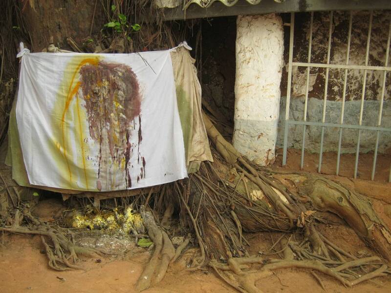 Sacred tree, Benin